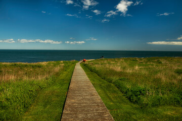 Wooden path to the island overlooking the ocean. Atlantic Ocean. USA. Canada. Maine.
