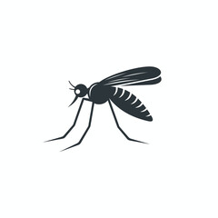 illustration of mosquito, vector art.