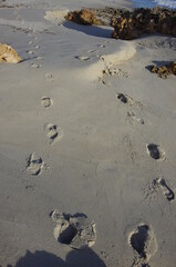 Footprints on a sandy beach