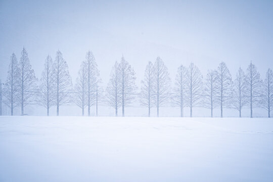 雪景色images Browse 68 384 Stock Photos Vectors And Video Adobe Stock