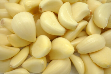 garlic