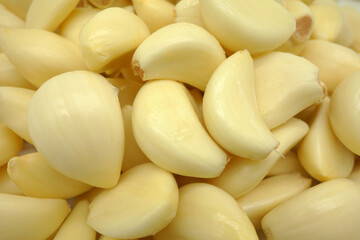 garlic