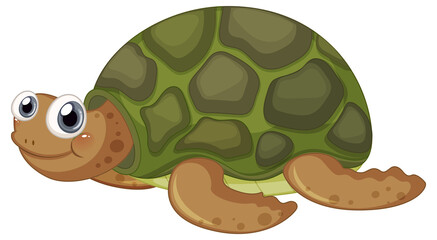 Cute turtle cartoon character on white background