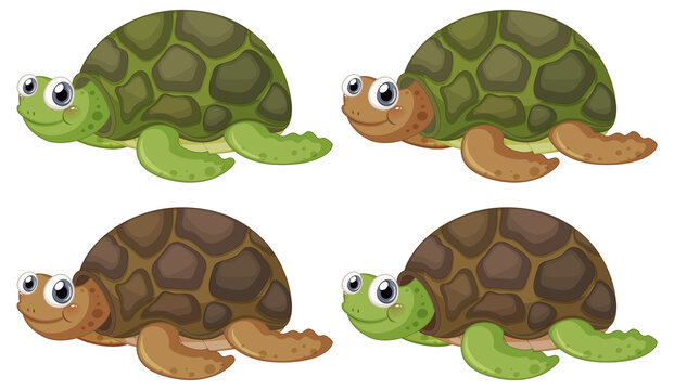 Cute turtle cartoon character on white background