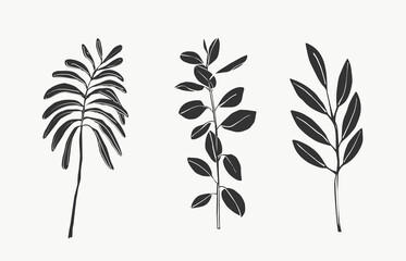 Tropical leaves and botanical leaves art. beautiful hand drawn exotic plants on white background. abstract modern or minimal plants line for posters. vector design