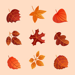 Whitered Fallen Leaves On Autumn Icon