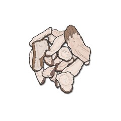 한약재 일러스트