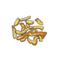 Obraz premium 한약재 일러스트