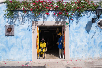 door with flowers in the town - Cartagena, Colombia