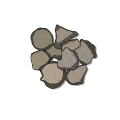 한약재 일러스트