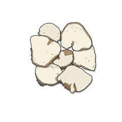 한약재 일러스트