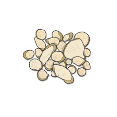 오약 한약재 일러스트