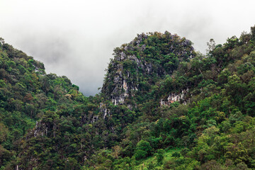 Aerial top view forest tree, Rainforest ecosystem