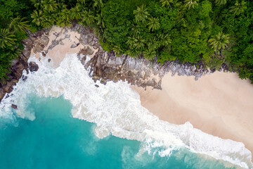 Beautiful tropical island with beach and coconut palm tree, freedom beach phuket - obrazy, fototapety, plakaty
