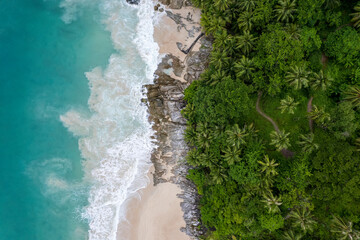 Fototapeta na wymiar Beautiful tropical island with beach and coconut palm tree, freedom beach phuket