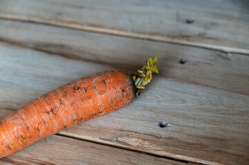 A ripe carrot against a wooden background. Unpeeled vegetable in close-up. Selective focus