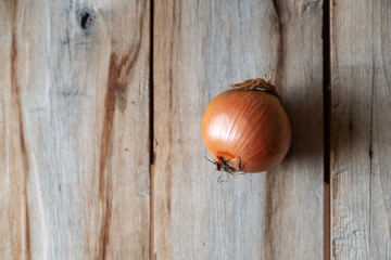 A ripe brown bulb against a wooden background. Unpeeled vegetable in a brown rind. Top view. Copy space for text and design elements.