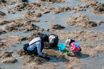 初夏に人気のレジャー 潮干狩りを楽しむ親子