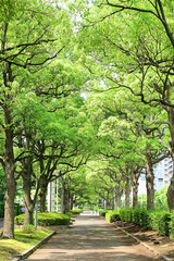 臨港公園プロムナード　千葉みなと