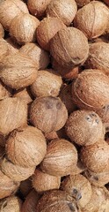 Organic husked round coconut pile in plantation. Bunch of natural organic and tropical farm fresh coconuts stacked together on blurry ground soil floor background after harvesting. brown coco fruit.