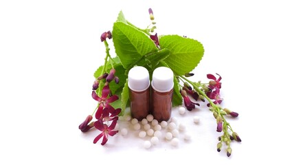 Homeopathy and naturopathy traditional healthcare medical treatment concept. Homeopathic and...