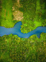 Aerial landscape of winding clear blue river in green field, top view of beautiful nature background from drone, seasonal summer landscape with copy space