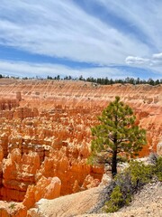 Bryce national park