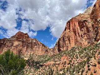 red rocks in national park USA 