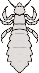 Obraz premium 虱のイラスト