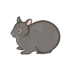 アマミノクロウサギのイラスト
