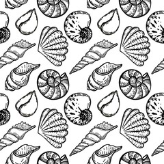 Seamless, hand-drawn sea creatures doodle in sketch style. Seashells. White background. Isolated. Summer. Ocean. Flat design. Vector illustration.