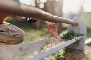 A woman works on a farm and feeds her chickens with healthy food, putting young, organic grass and compound feed into their feeders by hand to feed them