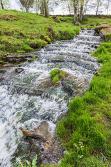 Stream on a meadow in spring