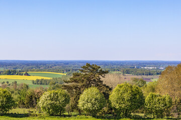 Landscape view with lush green trees