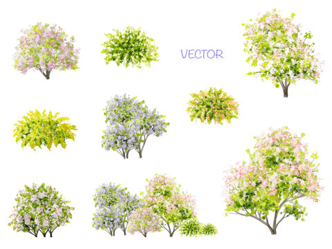 Vector watercolor blooming flower tree side view isolated on white background for landscape and architecture drawing, elements for environment and garden,botanical elements