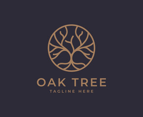 Circle tree logo icon template design. Round garden plant natural line symbol