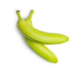 Unripe green bananas isolated on white background.