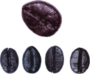 Abstract of five roasted coffee on white background.