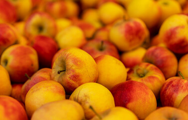 Äpfel an einem Marktstand auf dem Gelände des Spargelhof in Klaistow, Brandenburg,