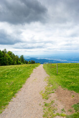 a path towards a German valley in Schwartzwald