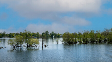 Naturschutzgebiet Oberhavel bei Hennigsdorf, Berlin, Deutschland