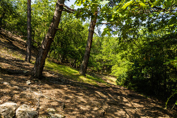 Sentier de découverte menant des cheminées des fées à la source bouillonnante de Bard, 63340...