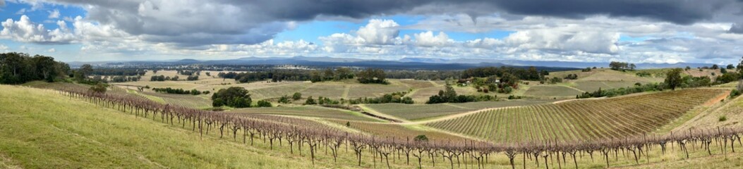 Sweeping panorama of vineyards and landscape in the Hunter Valley, NSW Australia.
