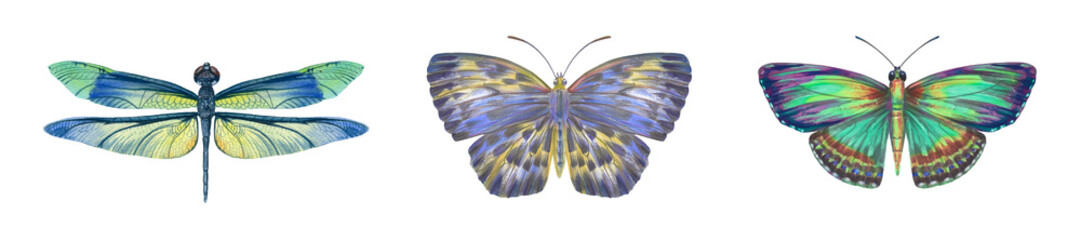 Set of bright watercolor butterflies and dragonflies isolated on white background. Insects painted in watercolor on paper for design, postcards, printing, wallpaper, wrapping paper.