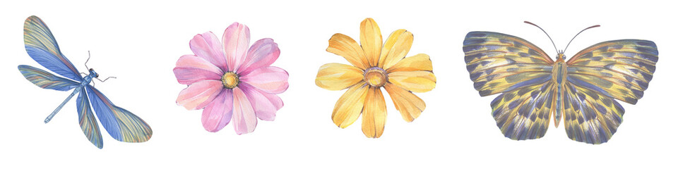 Flowers, butterfly and dragonfly painted in watercolor, collected in a set for design.