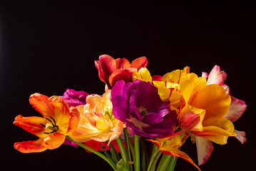 nice tulips in the vase