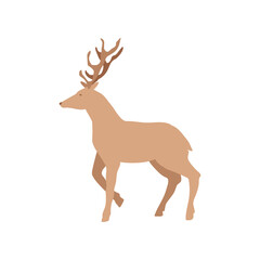 Deer isolated. Wild horned animal in simple flat style. Vector illustration. Reindeer walking.