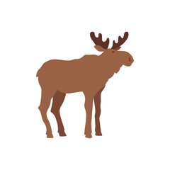 Moose isolated. Wild horned animal in simple flat style. Vector illustration.