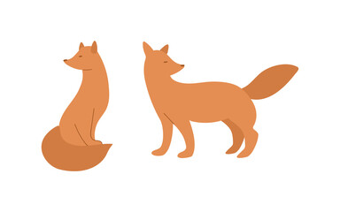 Foxes set. Sitting and walking wild animal isolated on white background. Vector illustration in simple flat style.