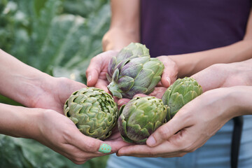 Three unrecognizable farmers holding five artichokes in a garden.